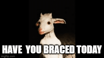 Have You Braced Today Goat GIF