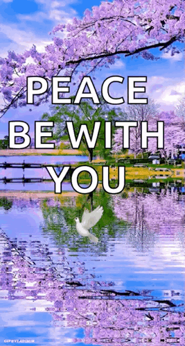 Having A Peaceful Heart With You GIF