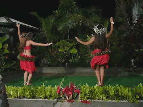 Two Girls Doing Hawaiian Dance GIF