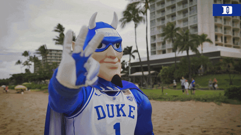 Hawaii Game Number 3 Mascot Football GIF