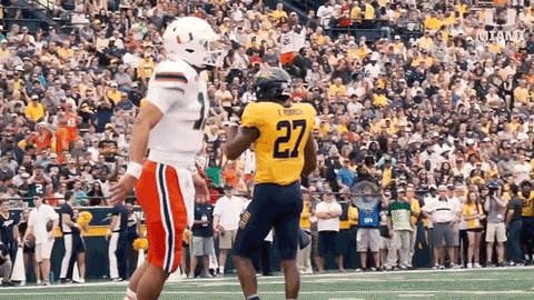 Hawaii Game Shhh Football Game GIF