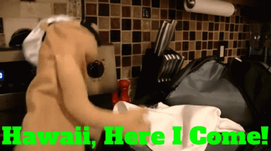 Hawaii Here I Come GIF
