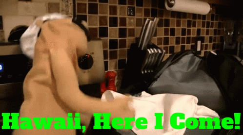 Hawaii Here I Come Written In Green On A Kitchen Scene GIF
