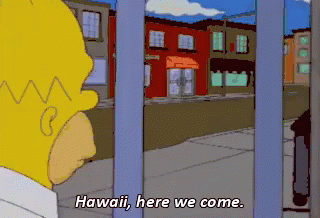 Hawaii Here We Come GIF