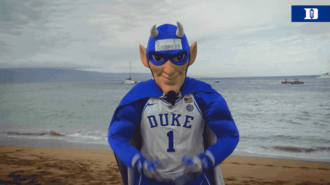 Hawaii Mascot Football Confused GIF