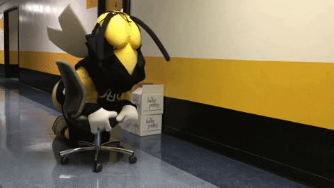 Hawaii Sliding Chair Football Mascot GIF