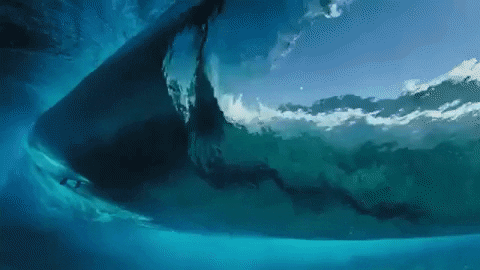 Hawaii Surfing Clear Water GIF