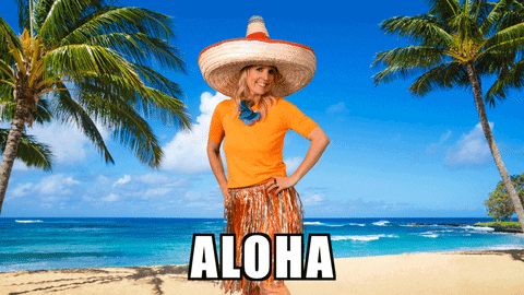 Hawaiian Girl Beach Aloha GIF