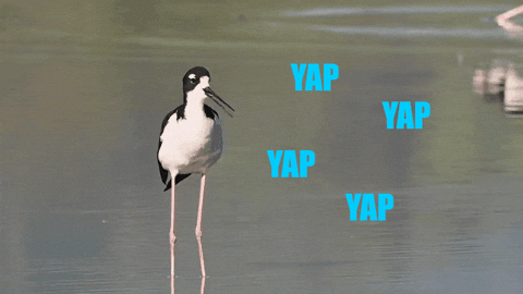 Hawaiian Stilt Yap GIF