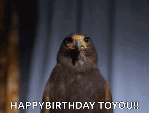 Hawk Happy Birthday To You GIF