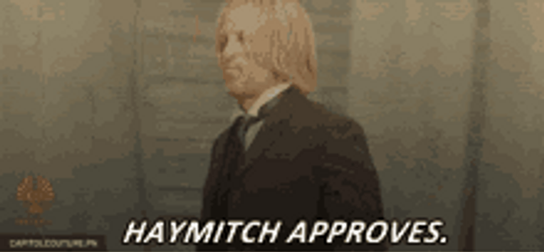 Haymitch Thumbs Up May The Odds Be Ever In Your Favor GIF