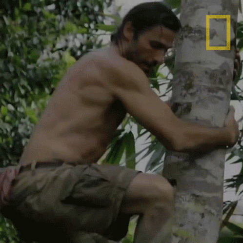 Hazen Audel Climb Coconut Tree GIF