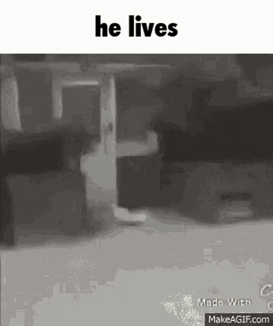 He Lives Kermit Gif GIF