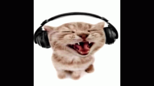 Headphones Kitten Smile GIF