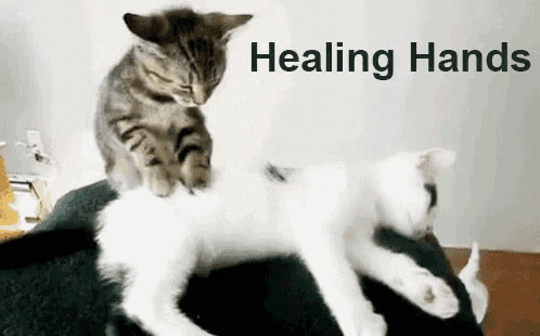 Healing Hands Gif GIF