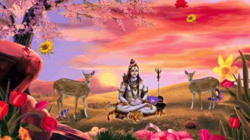 Healing Vibes Deity Shiva Meditating GIF