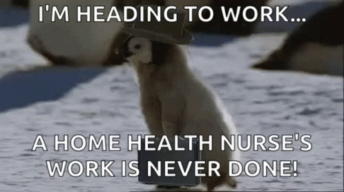 Health Nurse's Working On Sunday GIF
