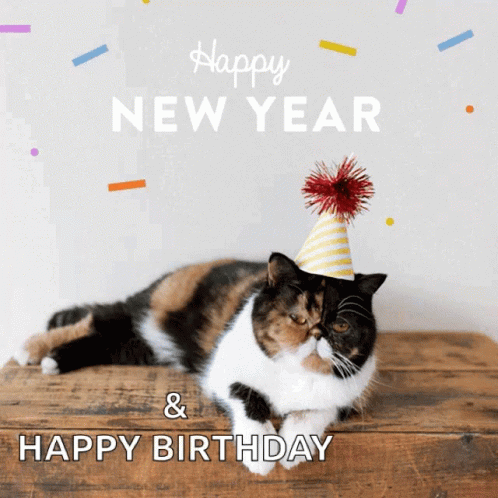Healthy Cat Happy New Year Animated GIF