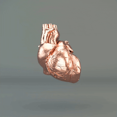 Heart Break Shattered Heart GIF