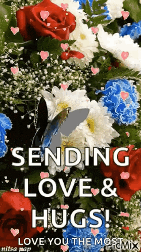 Heart Butterfly Gif GIF