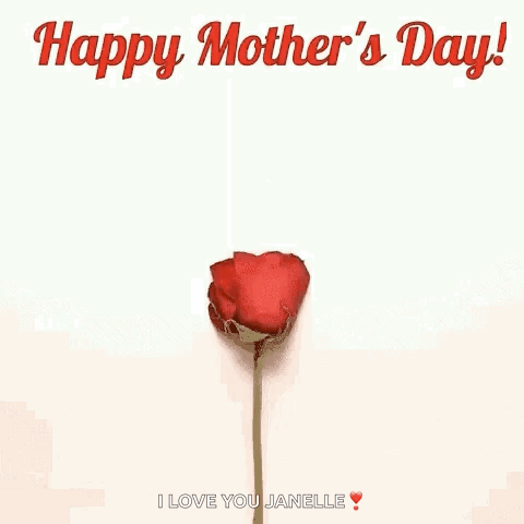 Heart Made of Rose Petals Happy Mother's Day