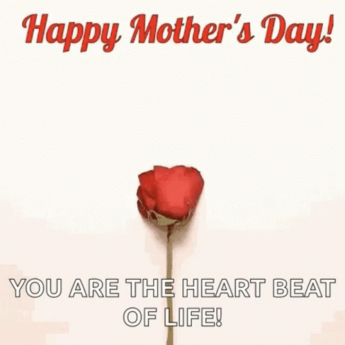 Heart Made Of Rose Petals Happy Mothers Day GIF