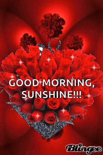 Heart Shaped Bouquet Red Roses Good Morning Sunshine