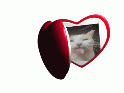 Heart Shaped Mirror With Cat Sticking Out Tongue