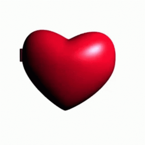 Heart Shaped Mirror With Frog GIF