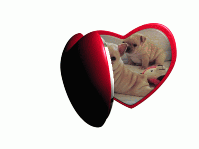 Heart Shaped Picture Frame With Two Puppies