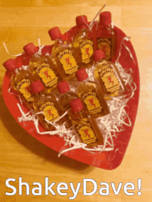 Heart Shaped Tray Filled With Jim Beam Bottles