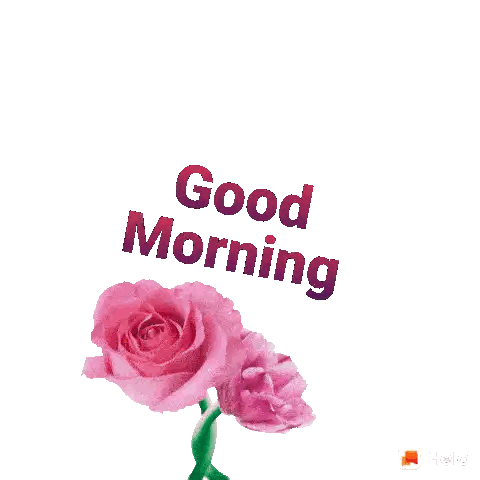 Heart with Pink Roses Good Morning