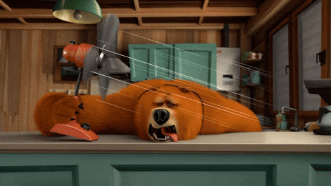 Heat Wave Exhausted Bear Passed Out GIF