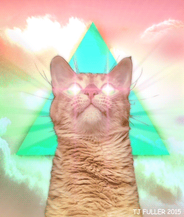 Cat In Colorful Heaven GIF