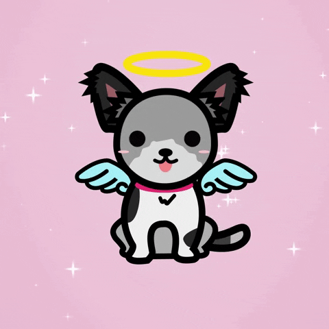 Cute Animated Angel Doc In Heaven GIF