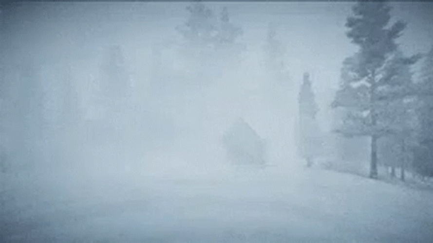 Heavy Blizzard Whiteout Condition Strong Winds GIF