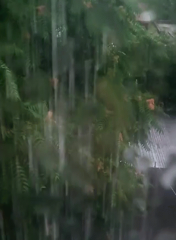 Heavy Downpour Tropical Monsoon Weather GIF
