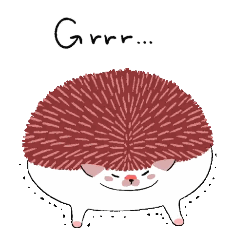 Hedgehog Drawing with Grrr