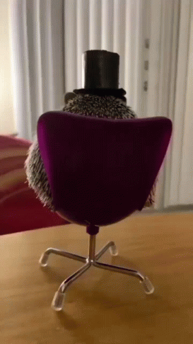 Hedgehog in Top Hat Sitting in Chair
