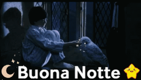 Hedwig Buona Notte GIF