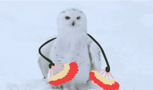 Hedwig Fan Dance GIF