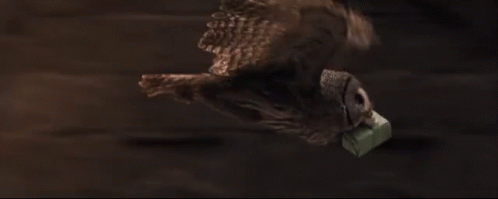 Hedwig Flying Fast GIF
