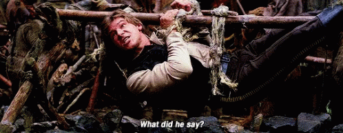Held Hostage By Ewok GIF