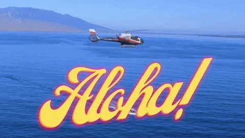 Helicopter Hawaii Beach Aloha GIF