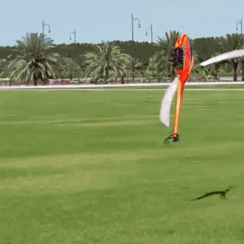 Helicopter Helicopter Erratic Flight Meme GIF