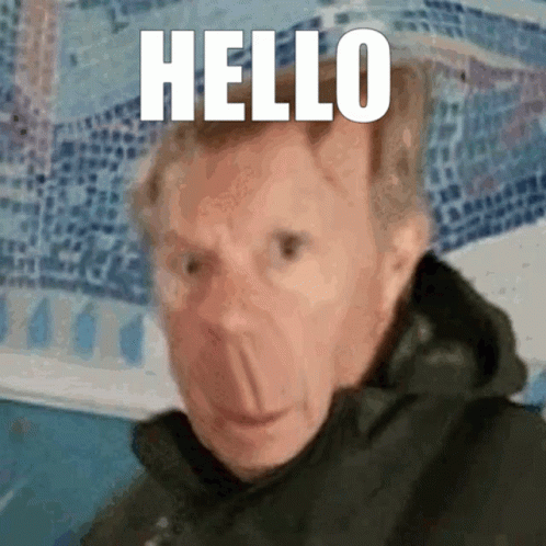 Hello All My Fellas GIF
