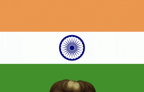 Hello August As Indias Independence Day GIF