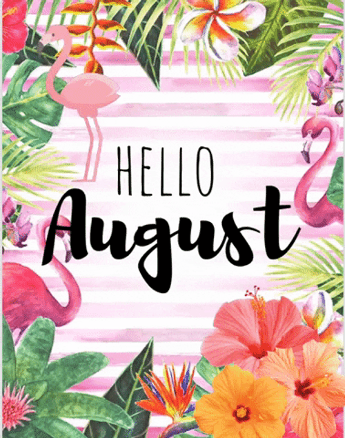 Hello August Flamingos GIF