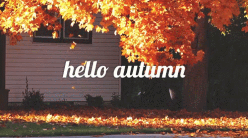 Hello Autumn Falls Falling Leaves Aesthetic GIF