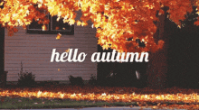 Hello Autumn Gif GIF